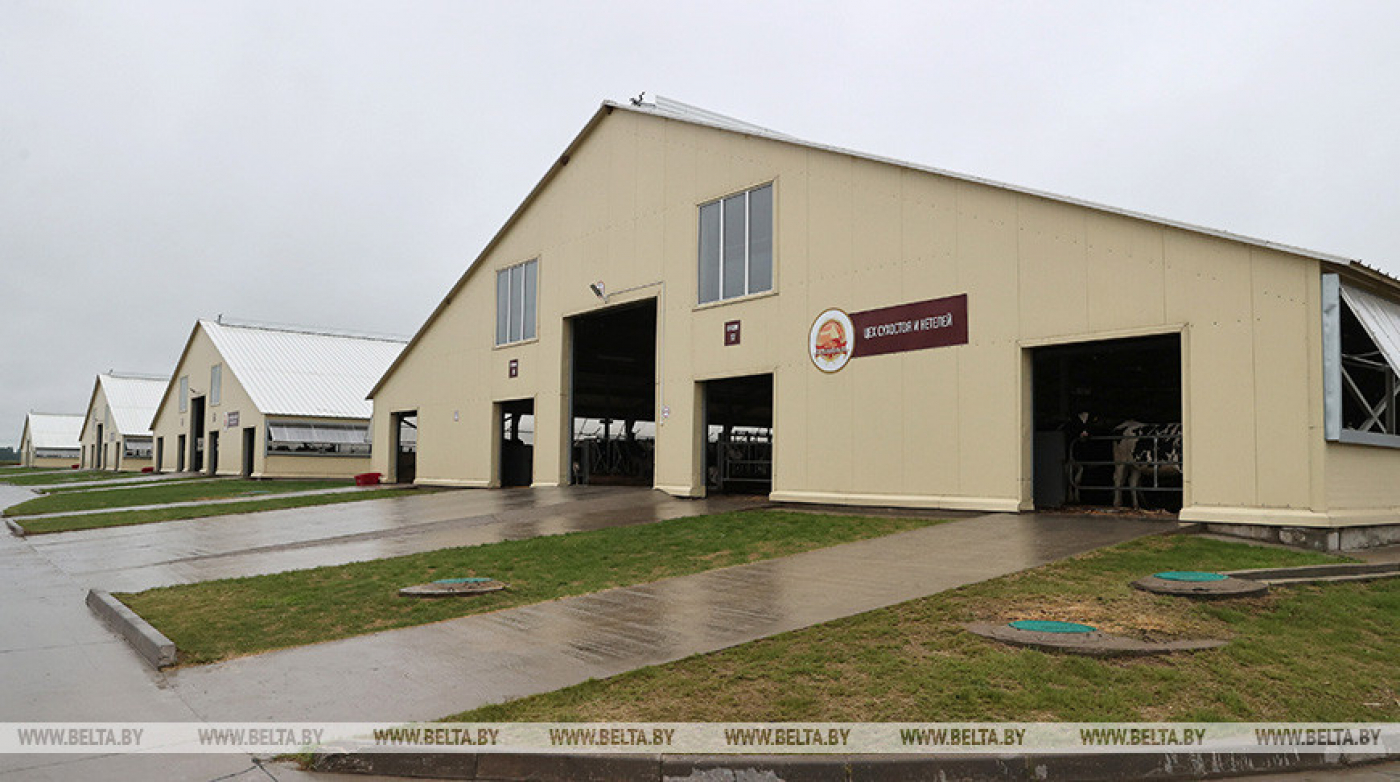 Лукашенко продолжает региональную рабочую поездку по сельхозтематике