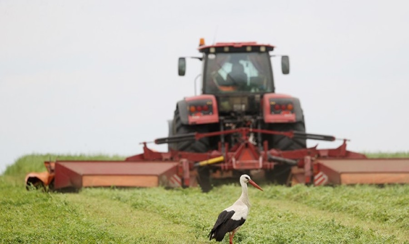 В Беларуси травы скошены почти на половине площадей