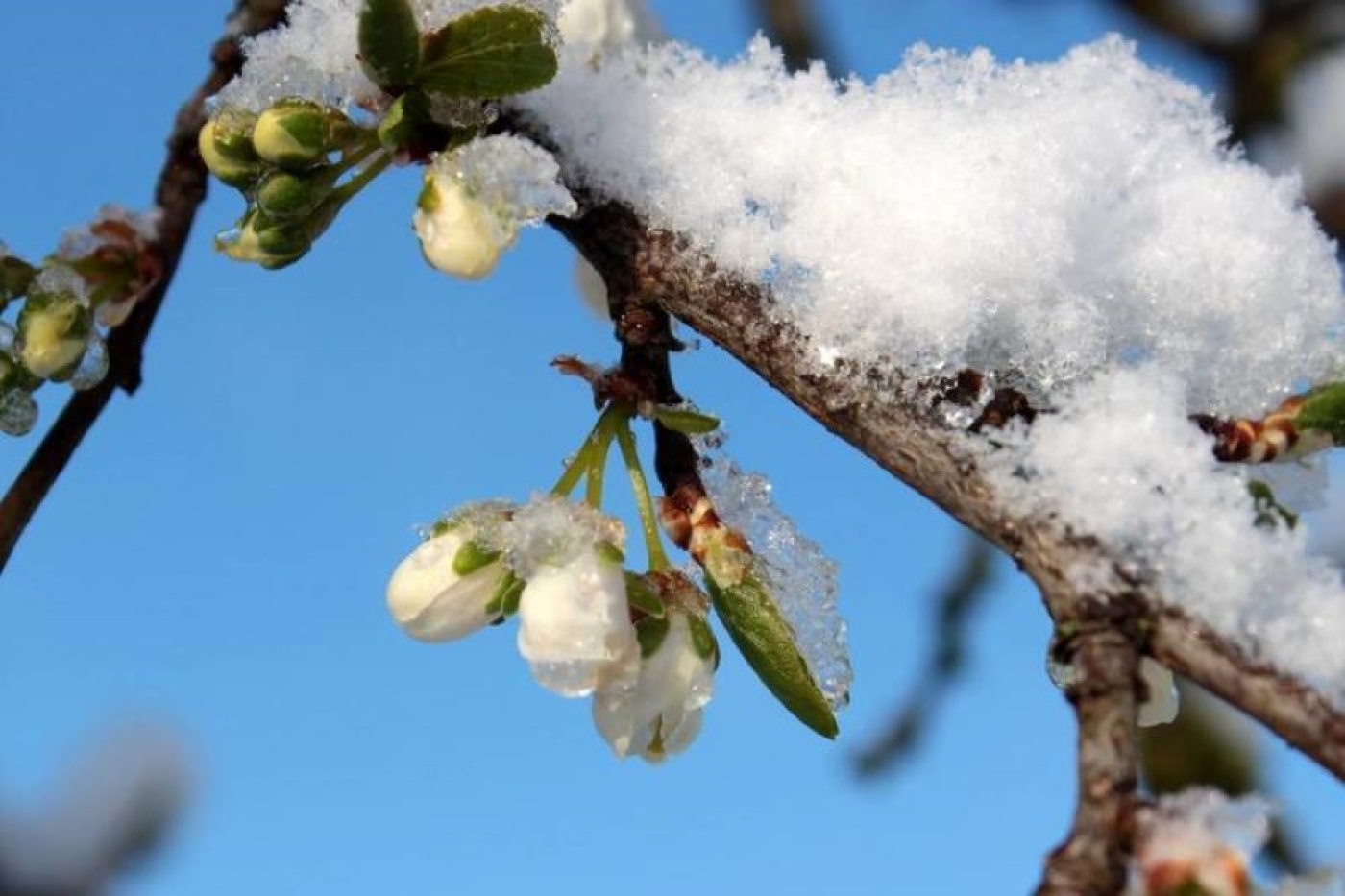 Прогноз позитивный: Рябов о погоде в первую неделю весны