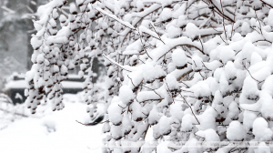 Небольшие осадки и до +5°С ожидается 13 февраля в Беларуси