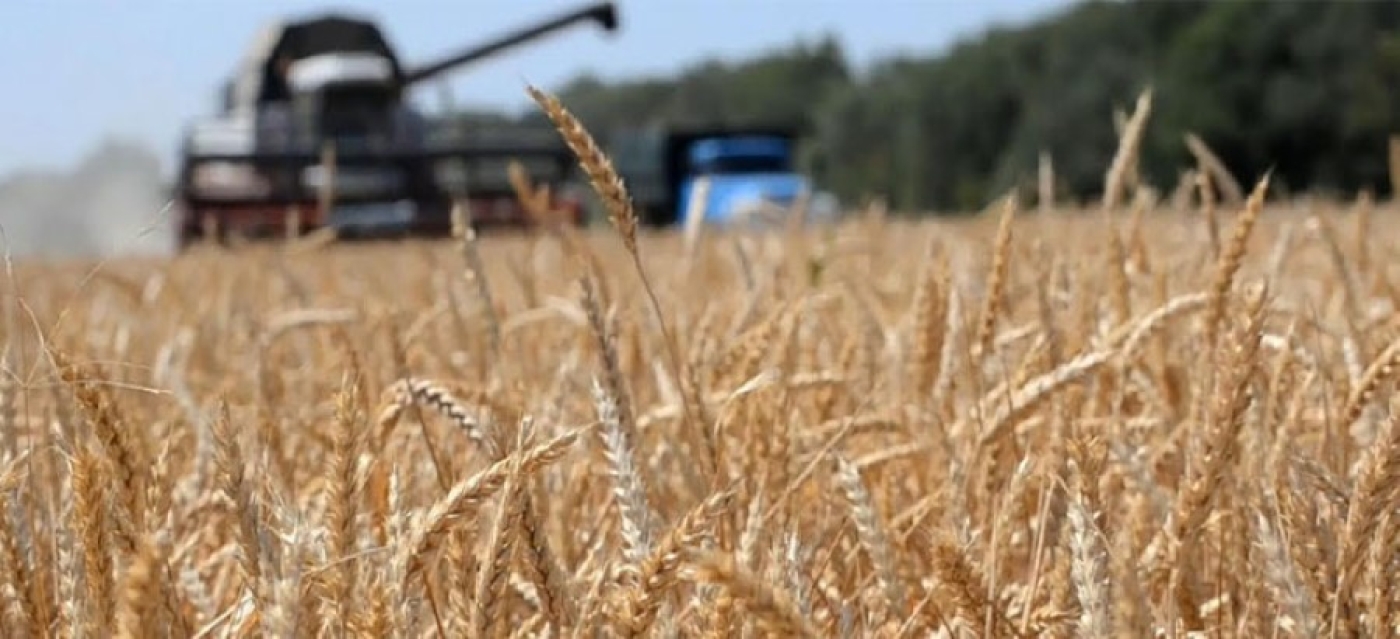 На уборке урожая задействован 561 молодежный экипаж