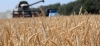 На уборке урожая задействован 561 молодежный экипаж