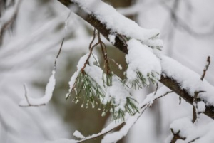В Беларуси на 22 февраля объявлен оранжевый уровень опасности