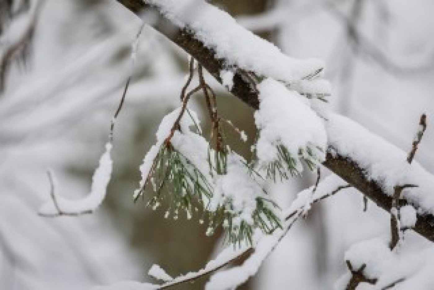 В Беларуси на 22 февраля объявлен оранжевый уровень опасности