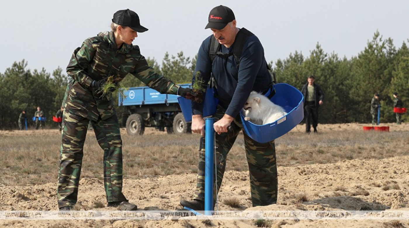 На этом сегодня можно озолотиться. Какую отрасль Президент считает равнозначной сельскому хозяйству