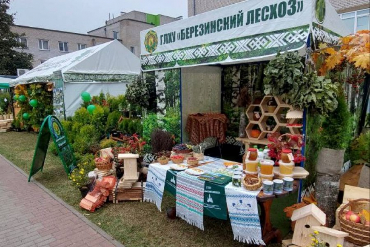 Вот они, дары березинских лесов!