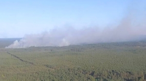 Минприроды: в Милошевичском лесхозе от пожара пострадало около 6 тыс. га леса