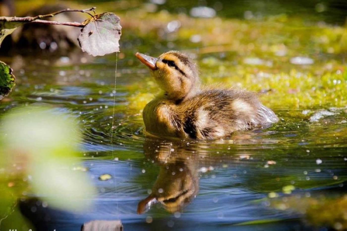 Погода в Беларуси 12 марта: облачно с прояснениями, местами дожди и от -2 °С до +19 °С