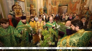 Православные верующие празднуют Вербное воскресенье