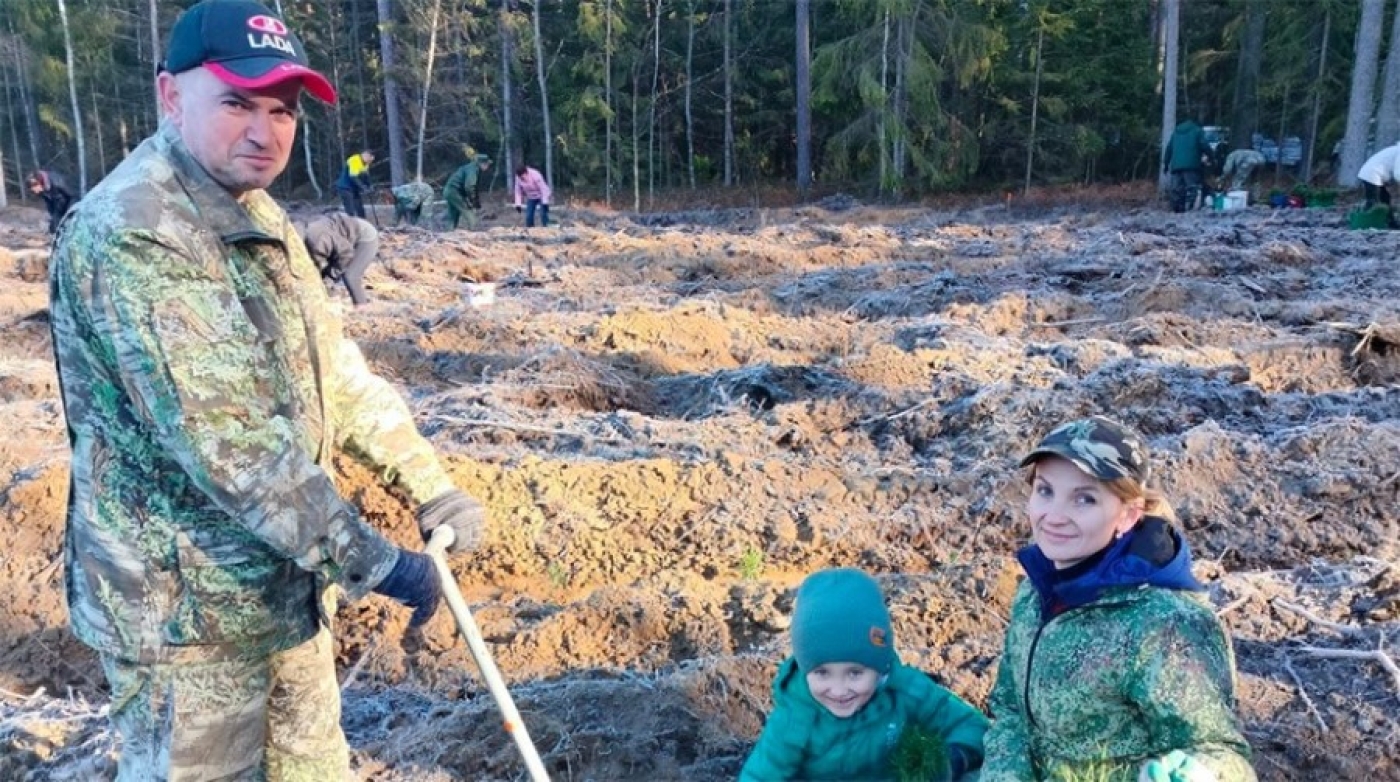 Более 43 тыс. белорусов уже приняли участие в акции "Дай лесу новае жыццё!"