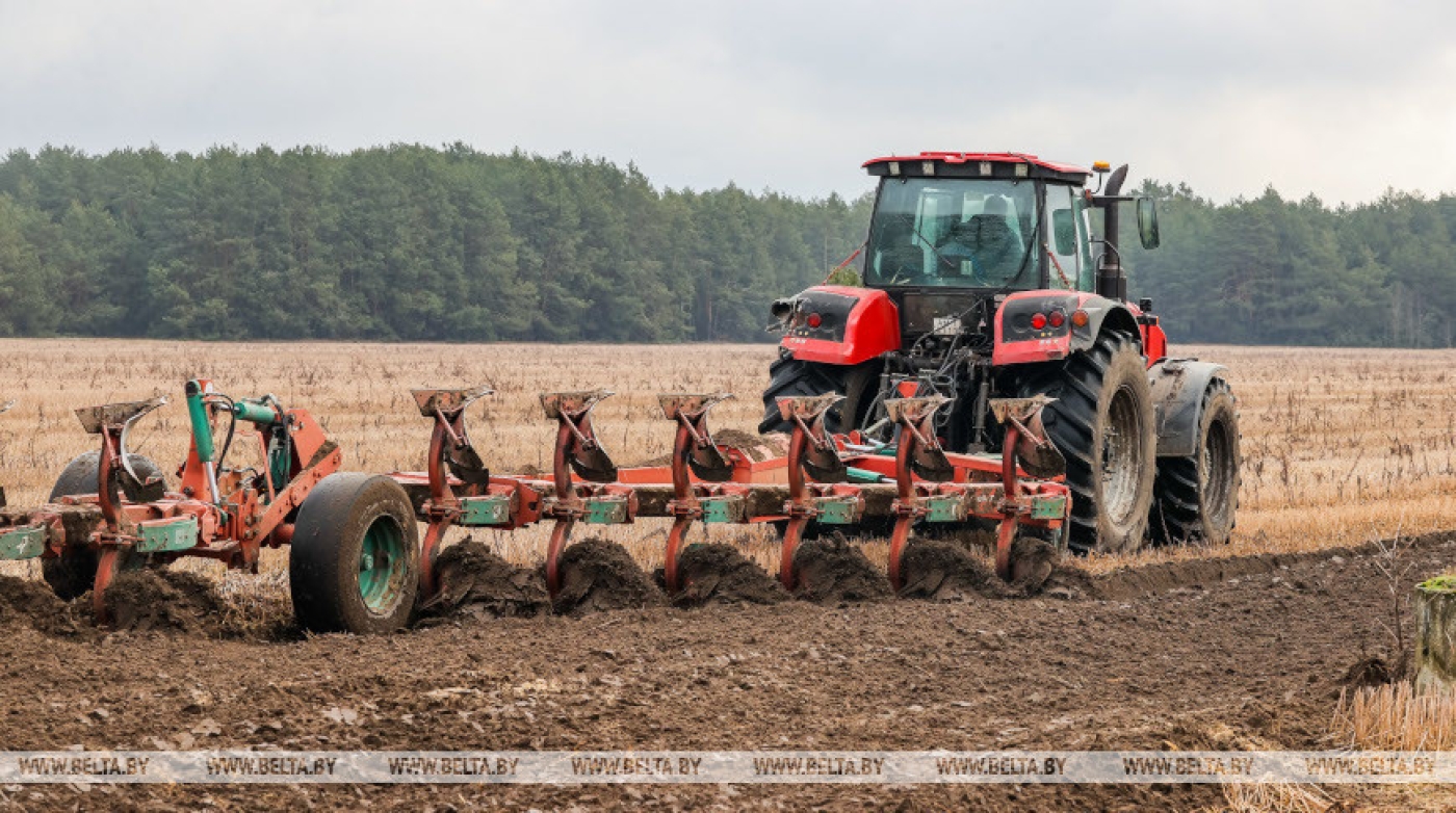 Помощь на посевной в Минской области будут оказывать заводчане и студенты-практиканты