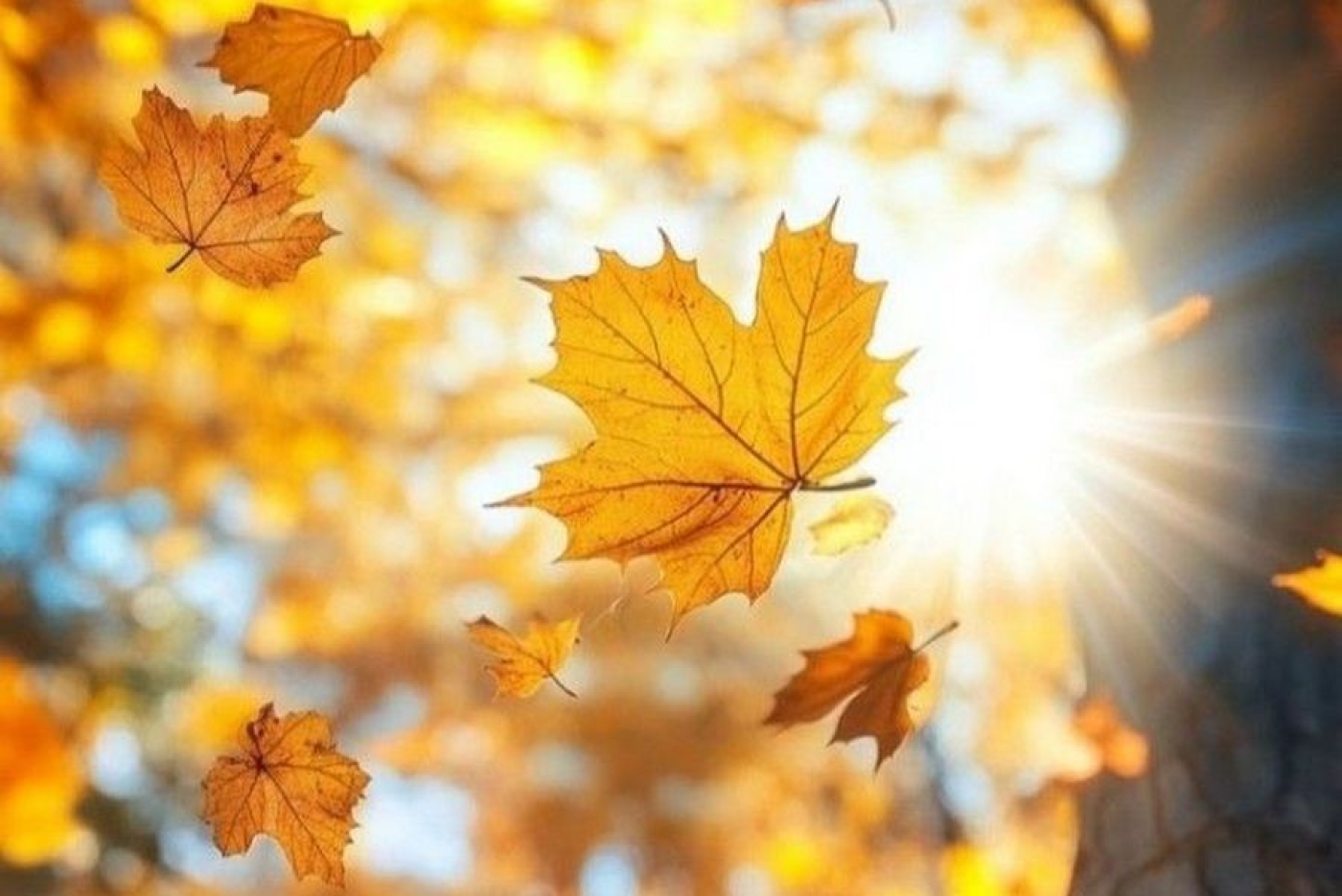 Отпуск – 1 календарный день. Возможно ли такое, ответил юрист