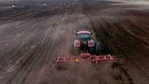 В Беларуси завершили посадку картофеля