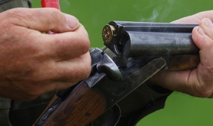 Как будет проходить специальный охотничий экзамен? Минлесхоз установил новый порядок