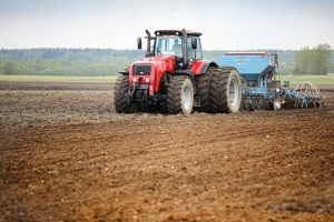 В Беларуси посеяно 36 процентов всех яровых культур