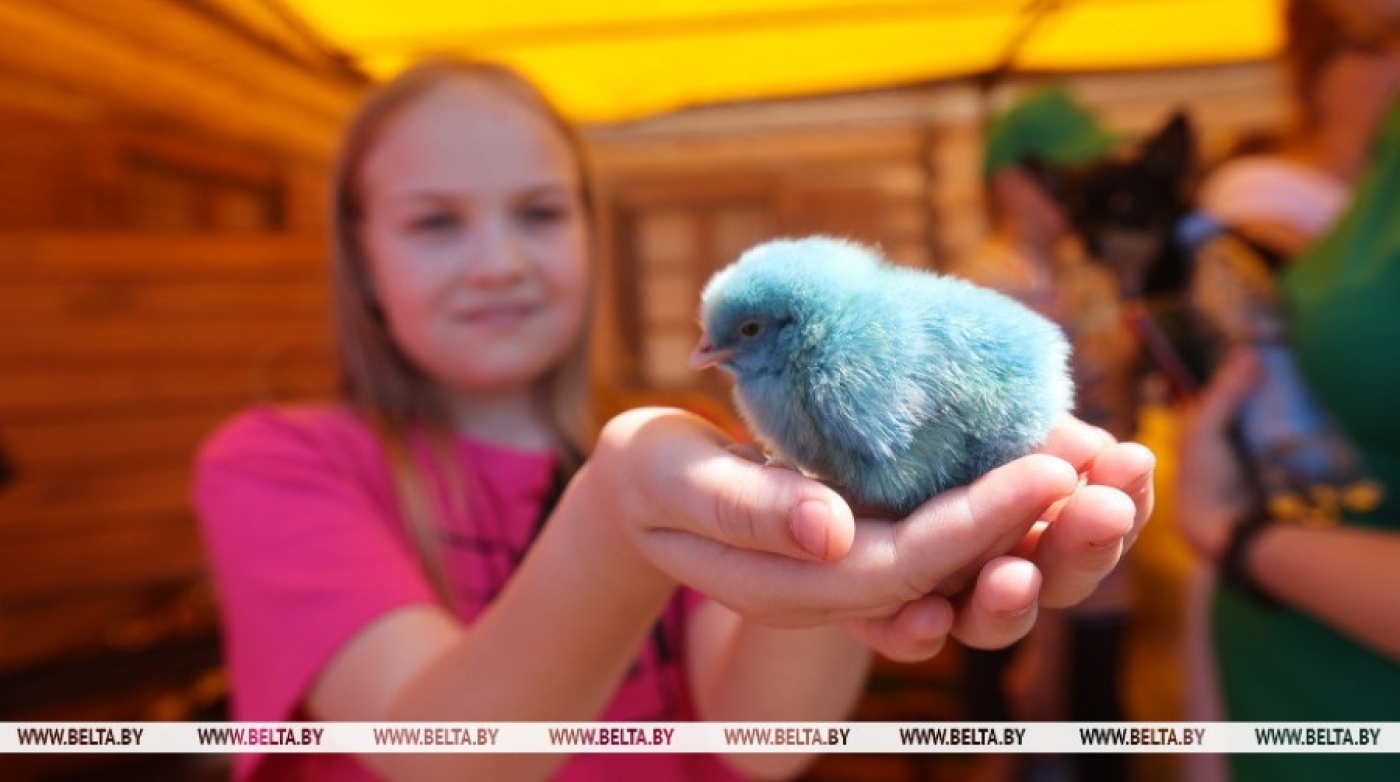 Агропромышленная выставка "Белагро" продолжает свою работу