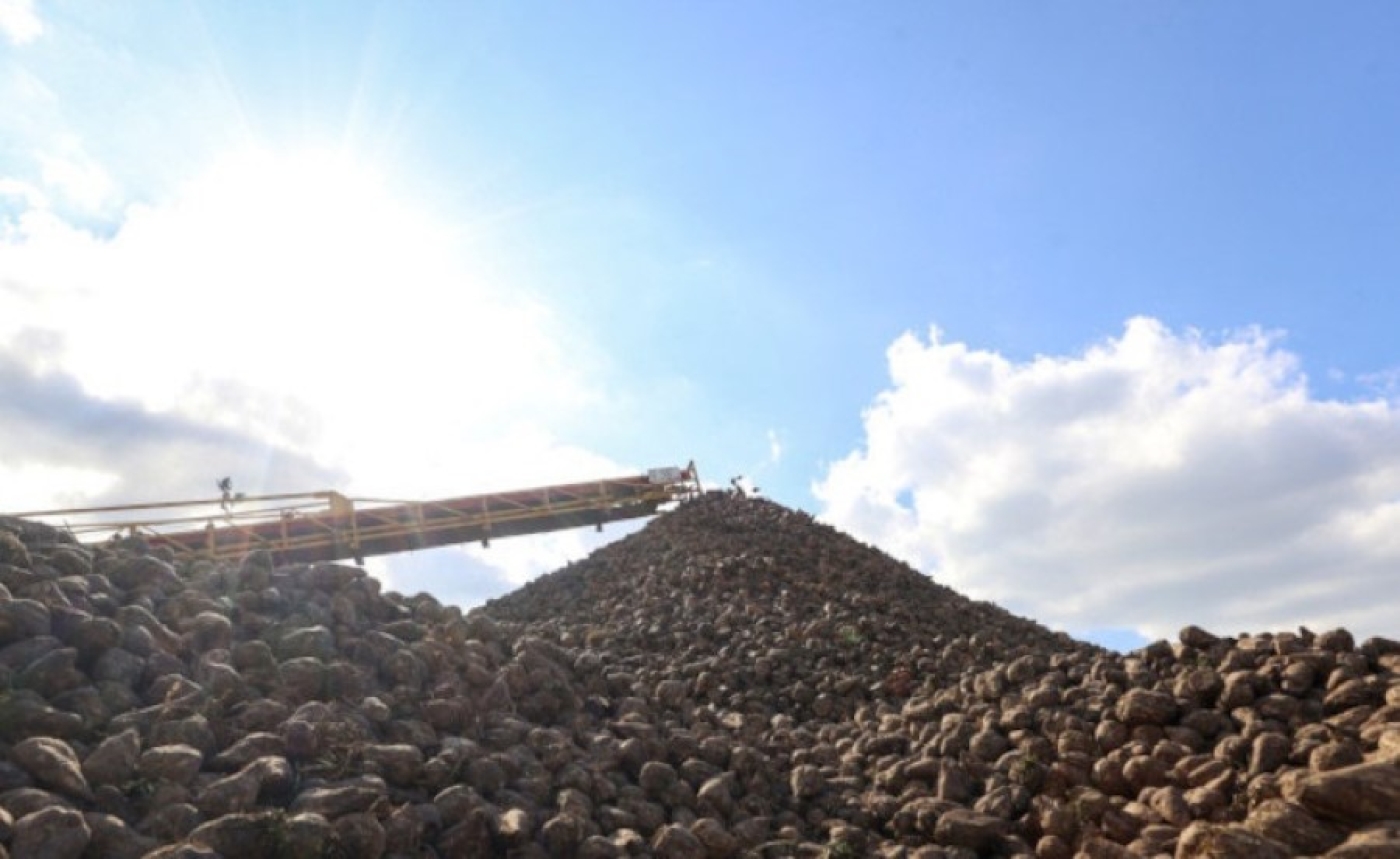 Минсельхозпрод: в стране накопан первый миллион тонн сахарной свеклы