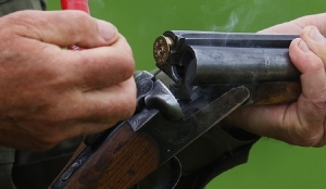 Второго медведя на охоте добыли в Борисовском охотничьем хозяйстве