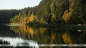 В Белгидромете рассказали, как в Беларуси меняется среднегодовая температура воздуха