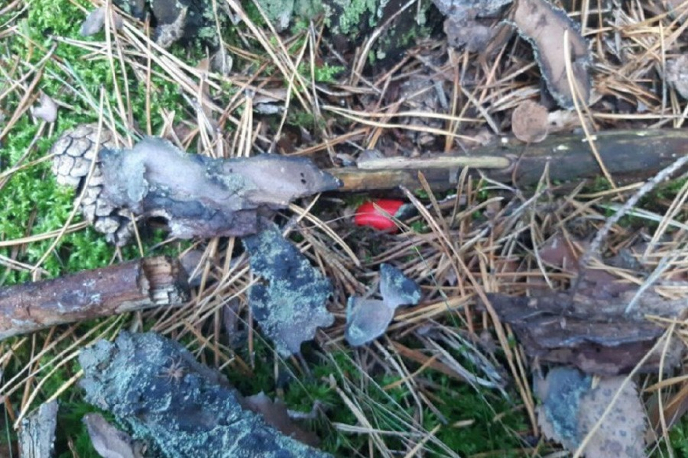 До 25 лет лишения свободы грозит за незаконный оборот наркотических средств