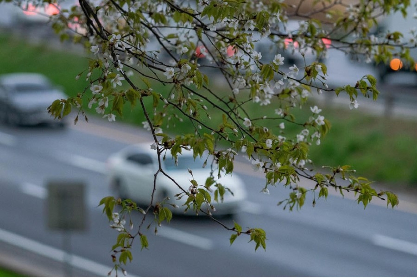 Жизнь не будет прежней: что изменится с 1 мая в Беларуси