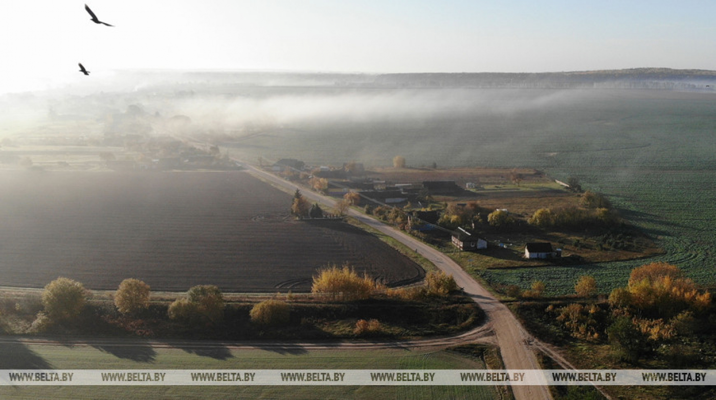 Агентства по госрегистрации и земельному кадастру 4 ноября проконсультируют бесплатно