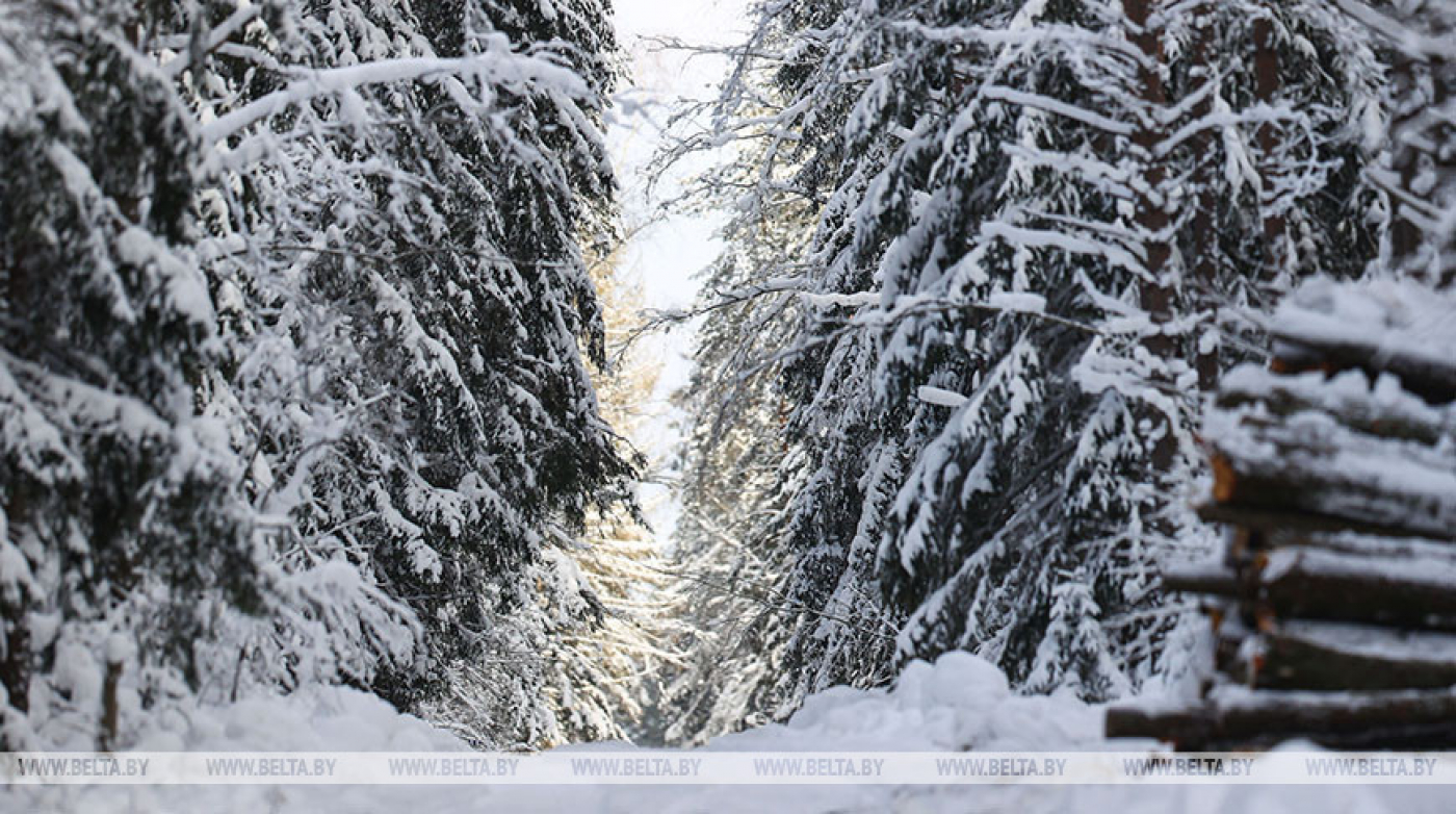 Сильные морозы отступят. Синоптики рассказали о погоде с 10 по 15 января