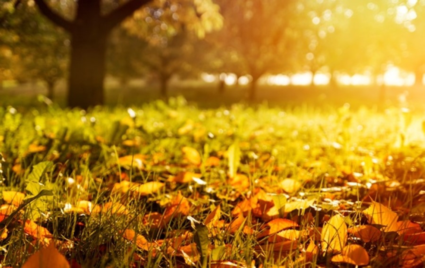 Погода в Беларуси 9 сентября: кратковременные дожди и до +26 °С