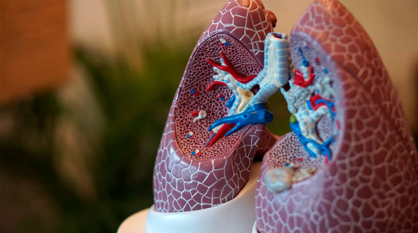 Пульмонолог рассказал, с какой скоростью восстанавливается организм, если бросить курить