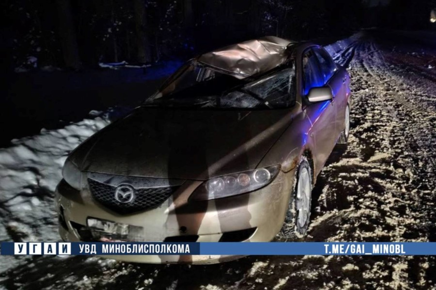 Легковушка столкнулась с лосем в Березинском районе