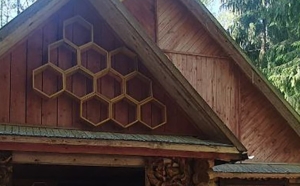 Уникальная природная территория. В Березинском биосферном заповеднике благоустроили Музей меда