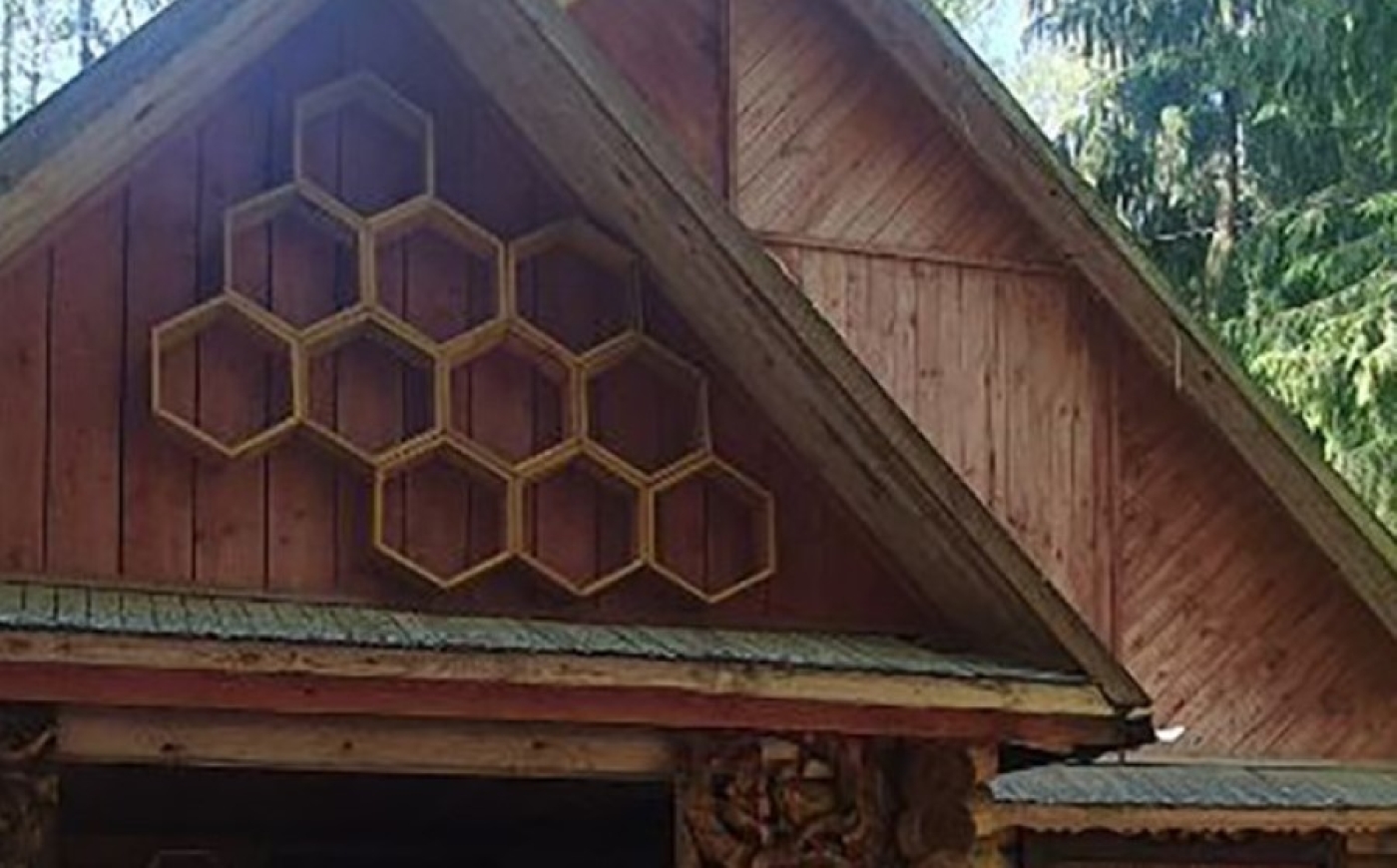 Уникальная природная территория. В Березинском биосферном заповеднике благоустроили Музей меда