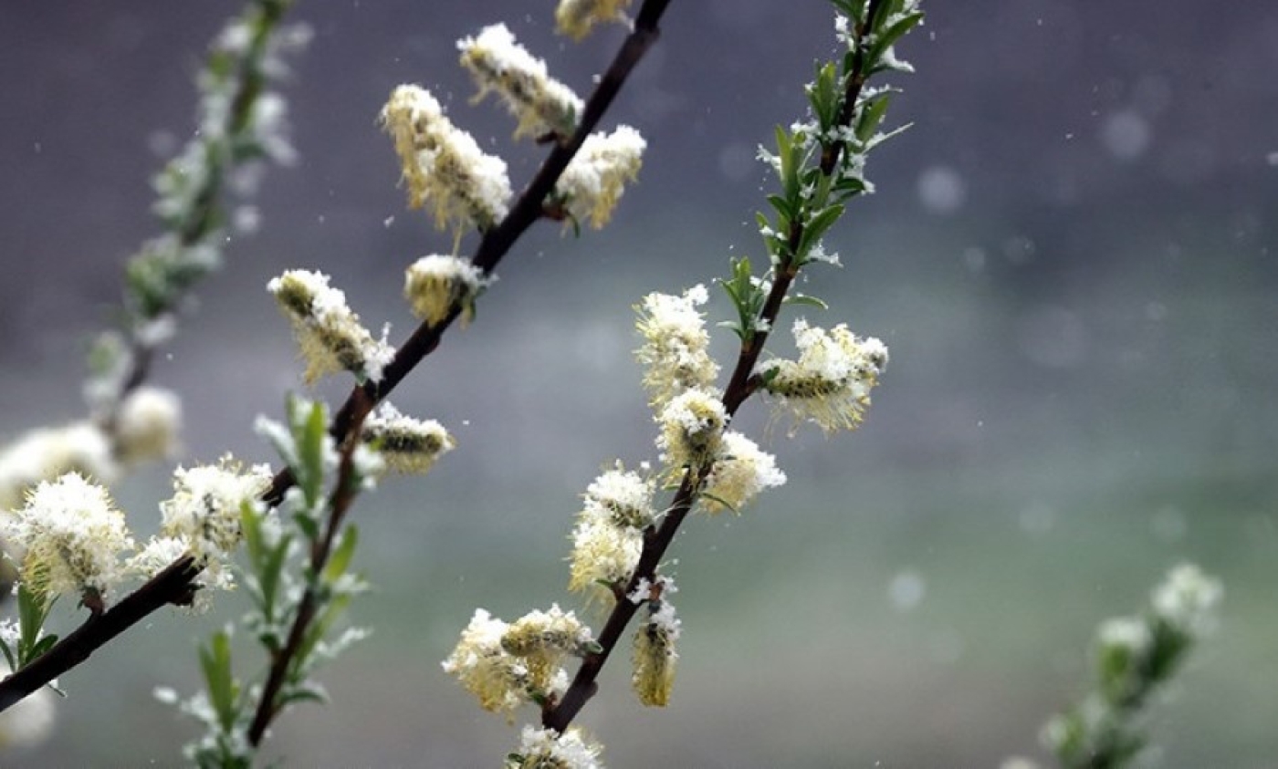 Капризный месяц. Как часто в апреле бывают снег, туманы и грозы, рассказали синоптики