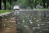 Погода 25 августа: дожди, грозы и до +19 °С