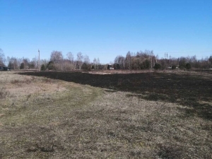 И снова горит трава… Остановитесь, граждане!