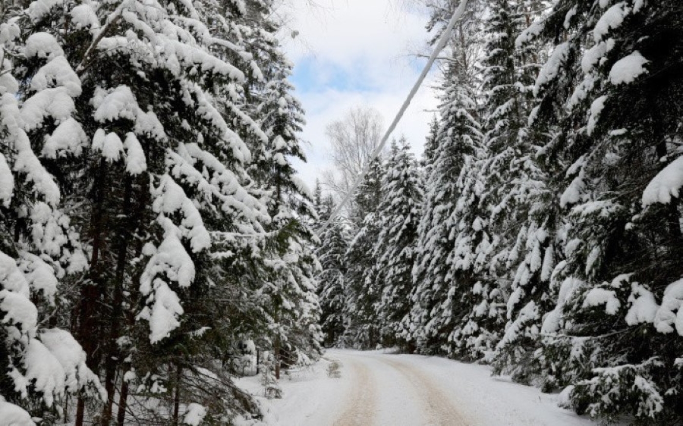 Рябов: зима еще порадует белорусов снегом