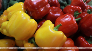 Перцы, грецкий орех и капуста. Что Белкоопсоюз закупает у населения