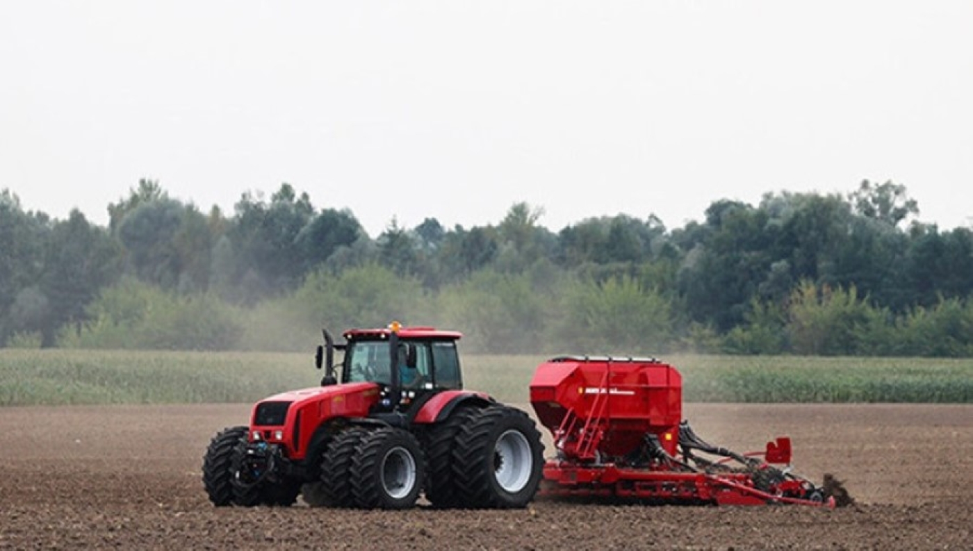 100 тысяч га. Минская область выполнила план сева озимого рапса
