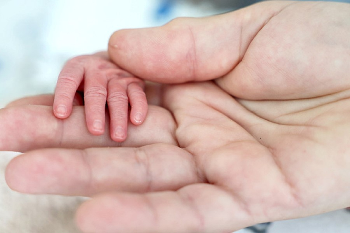 Как поступить в случае задержки выплаты пособия в связи с рождением ребенка, рассказали в Минтруда