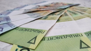 "Справедливый подход". ФСЗН о новшествах расчета пособий по временной нетрудоспособности, беременности и родам