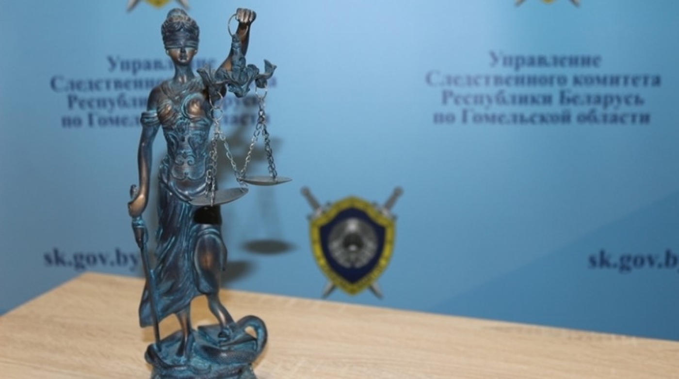 Тиктокер из Жлобина обманул около 130 человек. Следователи установили подробности