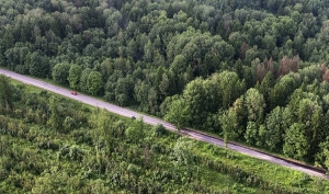 Запреты на посещение лесов продолжают действовать в 13 районах Беларуси