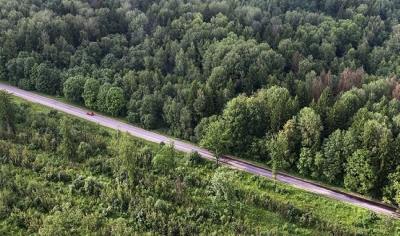 Запреты на посещение лесов продолжают действовать в 13 районах Беларуси