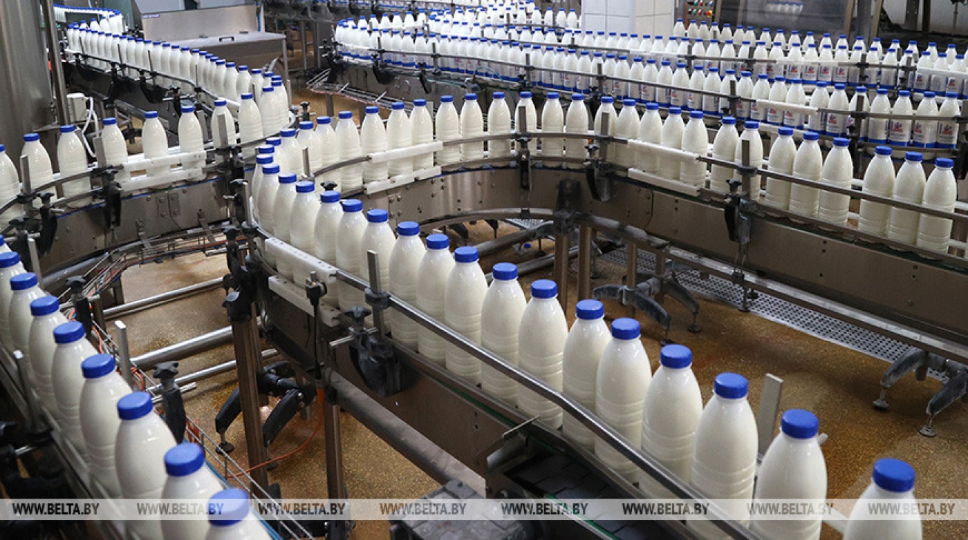 В Беларуси наблюдается рост производства животноводческой продукции