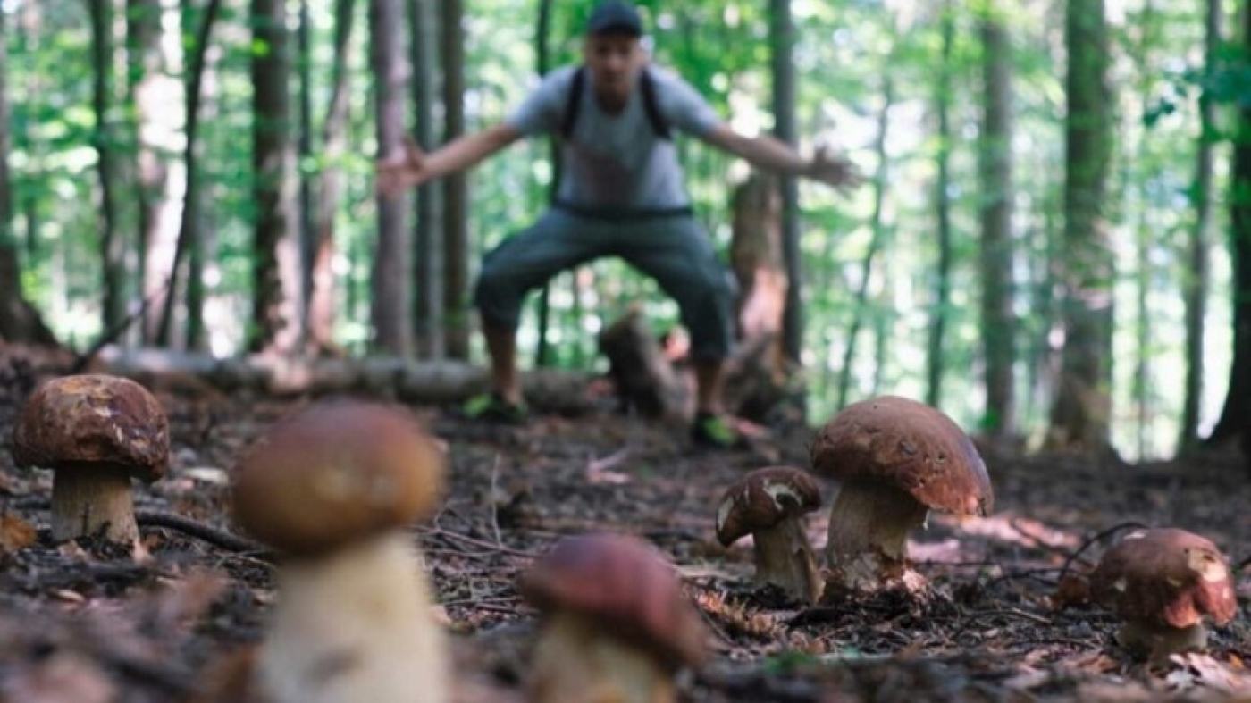 Открыть "Таинственный остров Ду" и приобщиться к "Тихой охоте". Что в экоафише на сентябрь