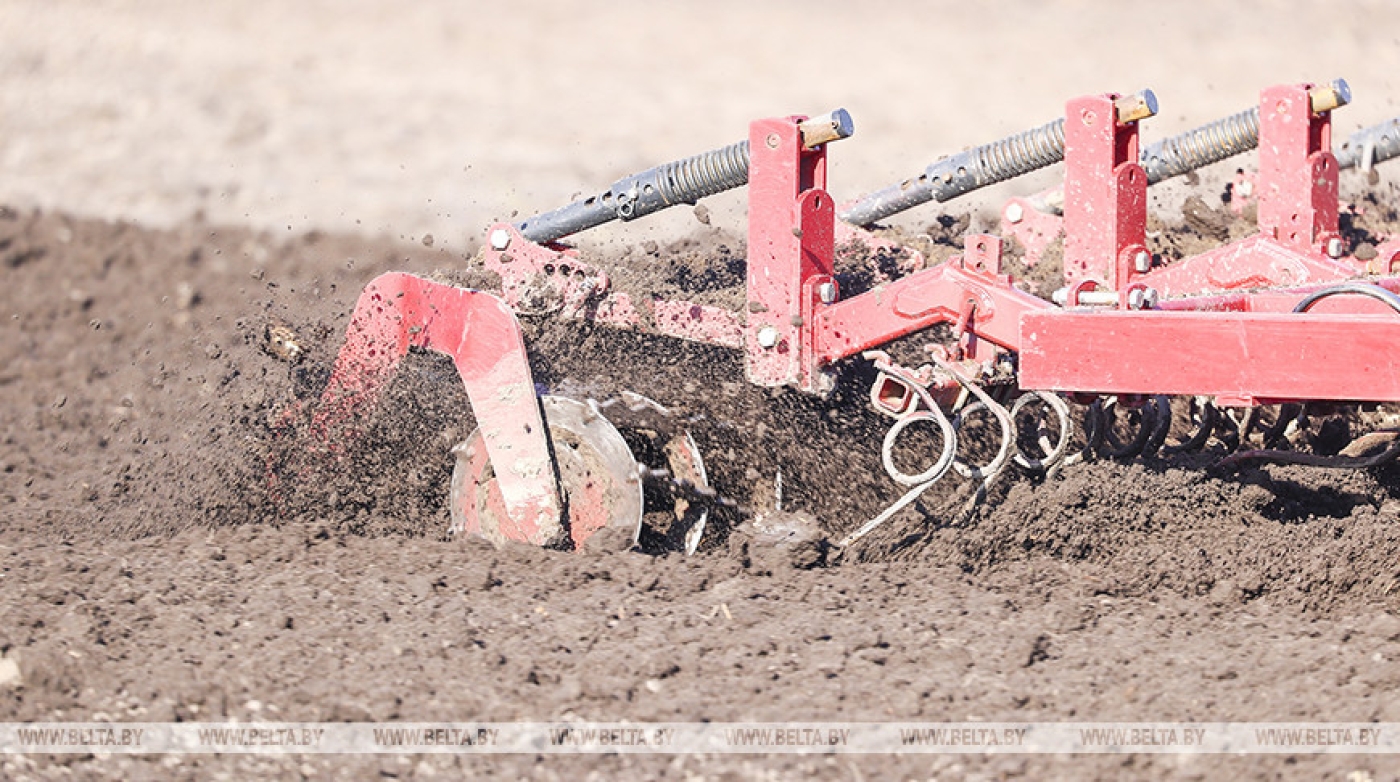 В Минской области уже посеяно более 10% яровых и более 15% трав