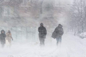 Минэнерго: за минувшие сутки электроснабжение нарушалось в 251 населенном пункте Беларуси