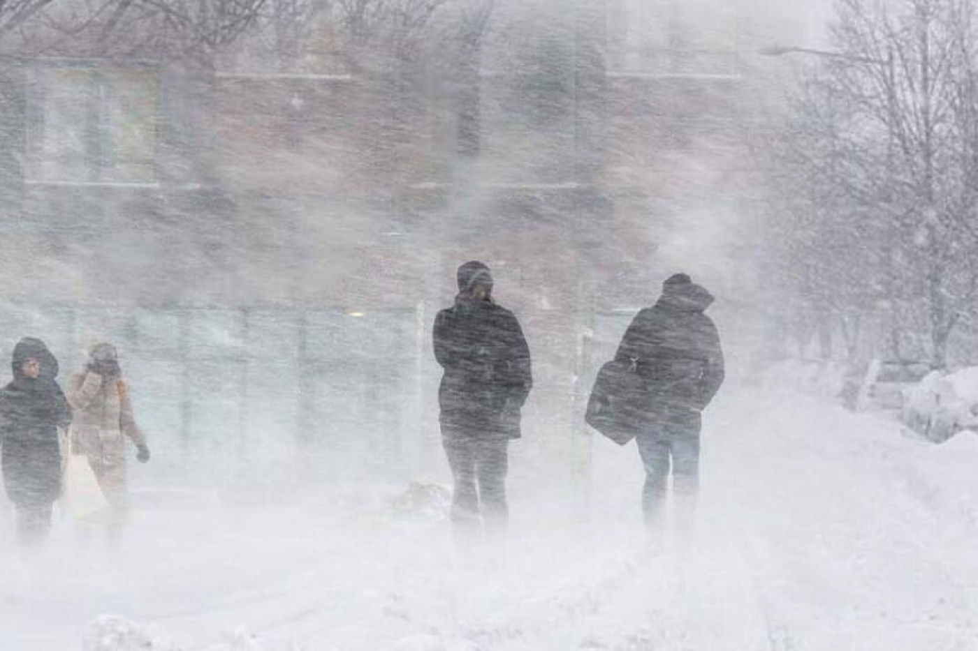 Минэнерго: за минувшие сутки электроснабжение нарушалось в 251 населенном пункте Беларуси