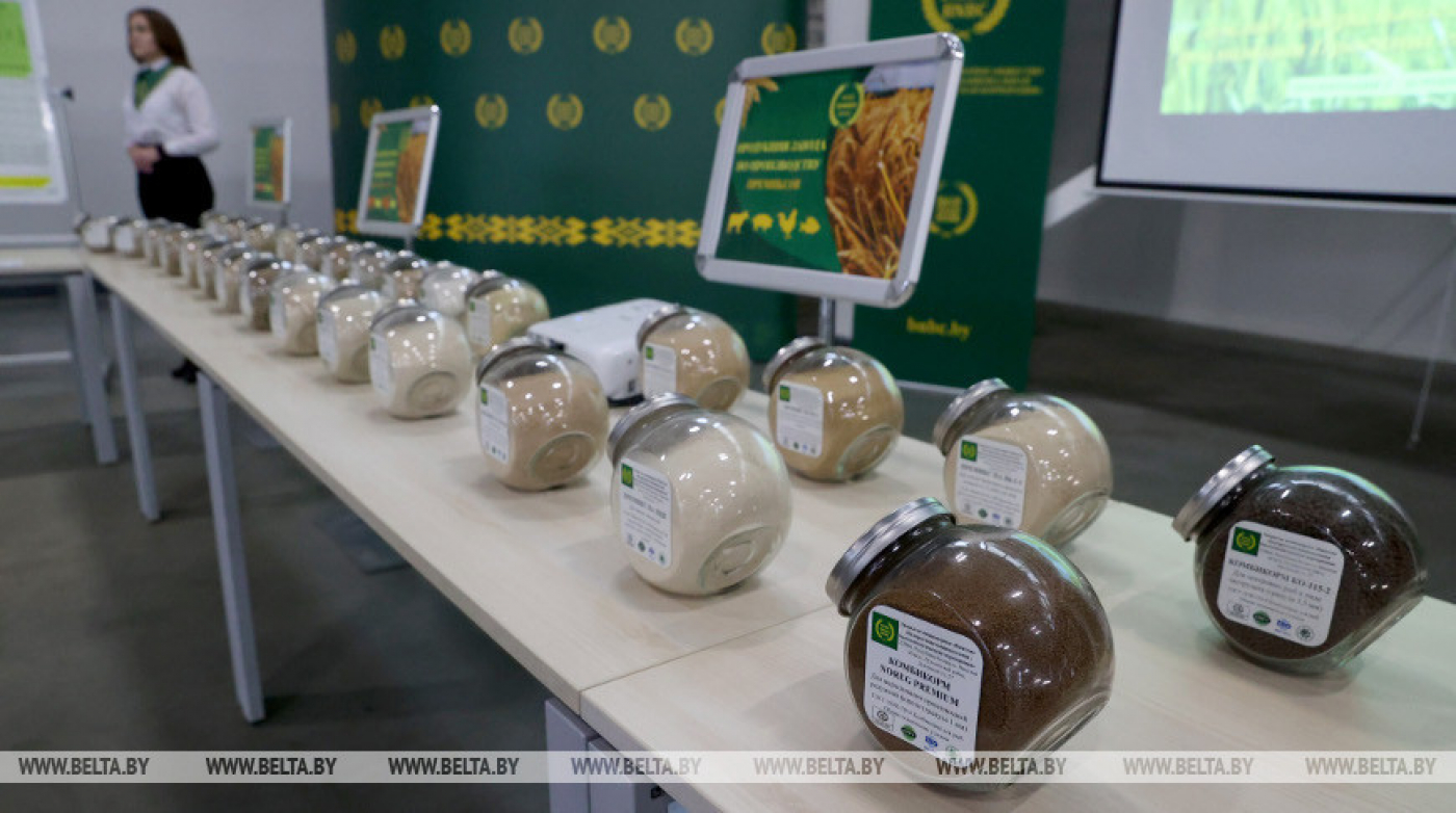 Лукашенко поручил продумать новые шаги в развитии рыбоводства с учетом современных комбикормов БНБК