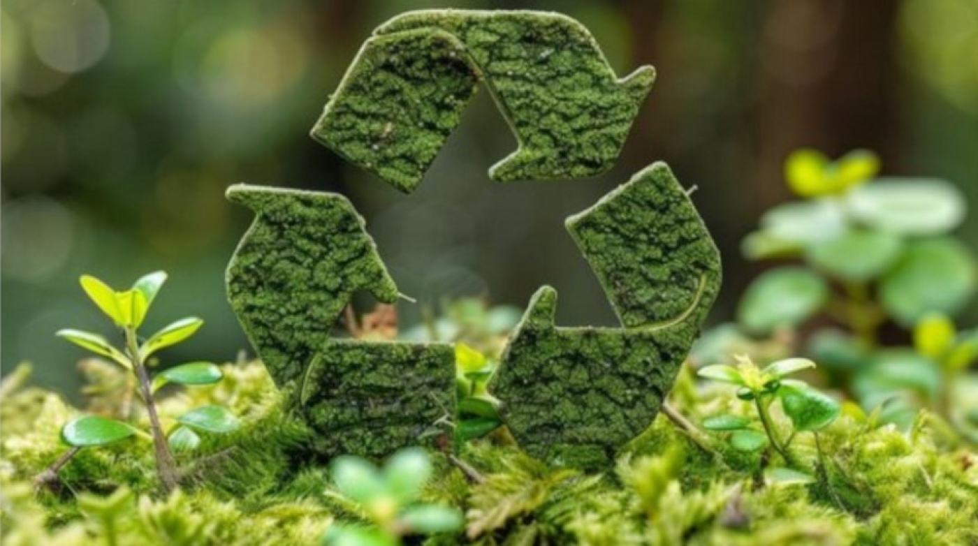 Экологическая акция "Зеленый выбор" по отказу от пластика проходит в Беларуси